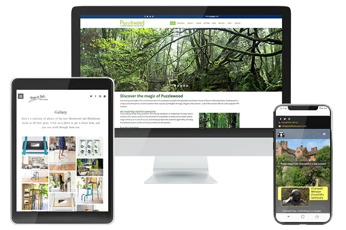 Cyncronet Website Services